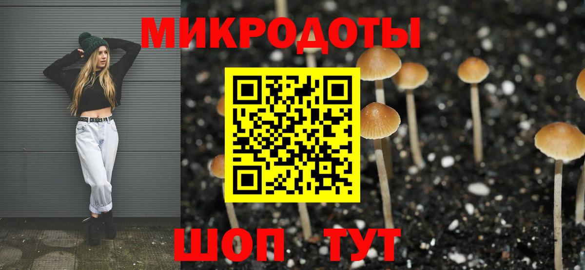 Комсомольск-на-Амуре  закладки  Вход с VPN  Псилоцибиновые грибы прущие грибы 
